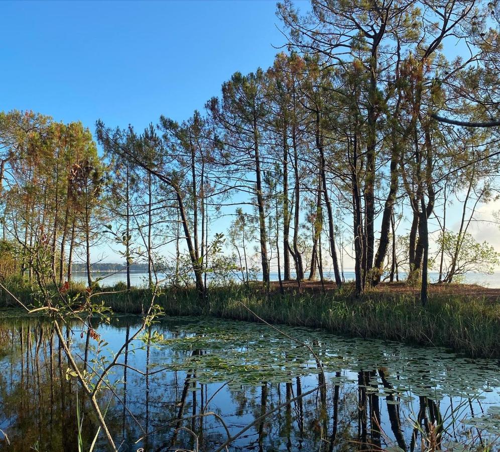 Appartement Les Grands Pins, entre lac et océan Carcans Extérieur photo
