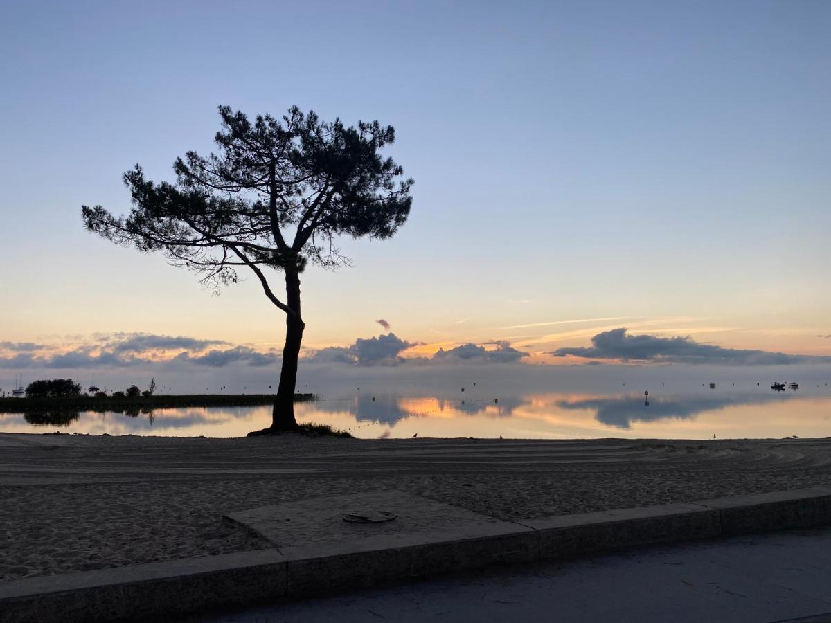 Appartement Les Grands Pins, entre lac et océan Carcans Extérieur photo